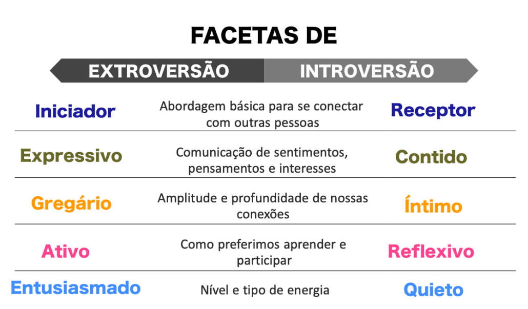 Facetas extroversão vs introversão segundo o MBTI
