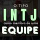 INTJ como membro de equipe